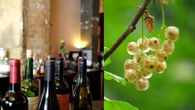 Amla Wine- Easy Home Made Kerala Style Recipes