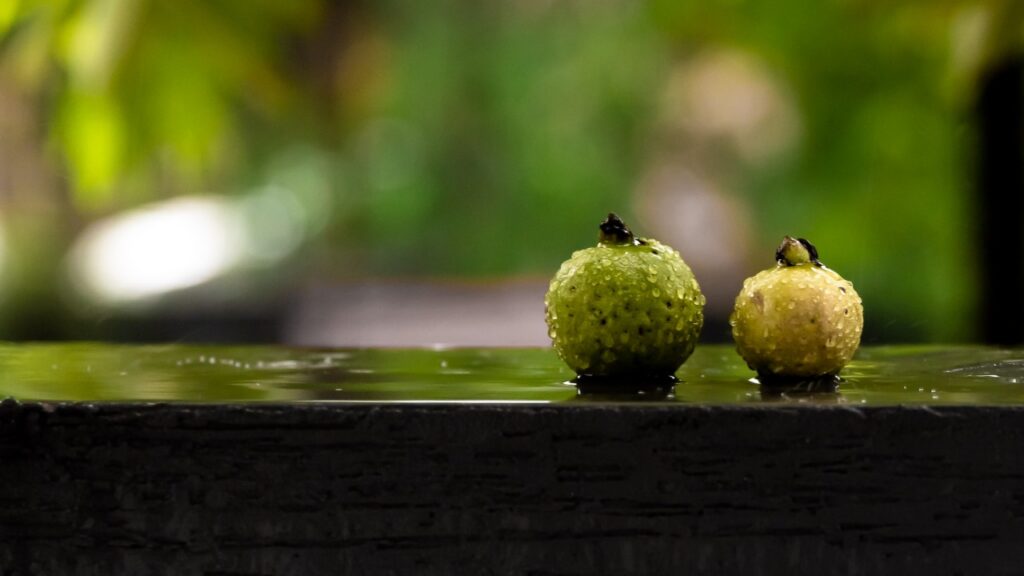 Guava Wine Recipe - Easy Home Made Kerala style